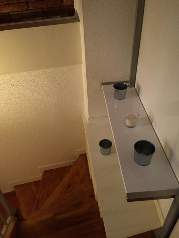 Le Petit Moulin, Duplex Hypercentre Toulouse Apartment ภายนอก รูปภาพ