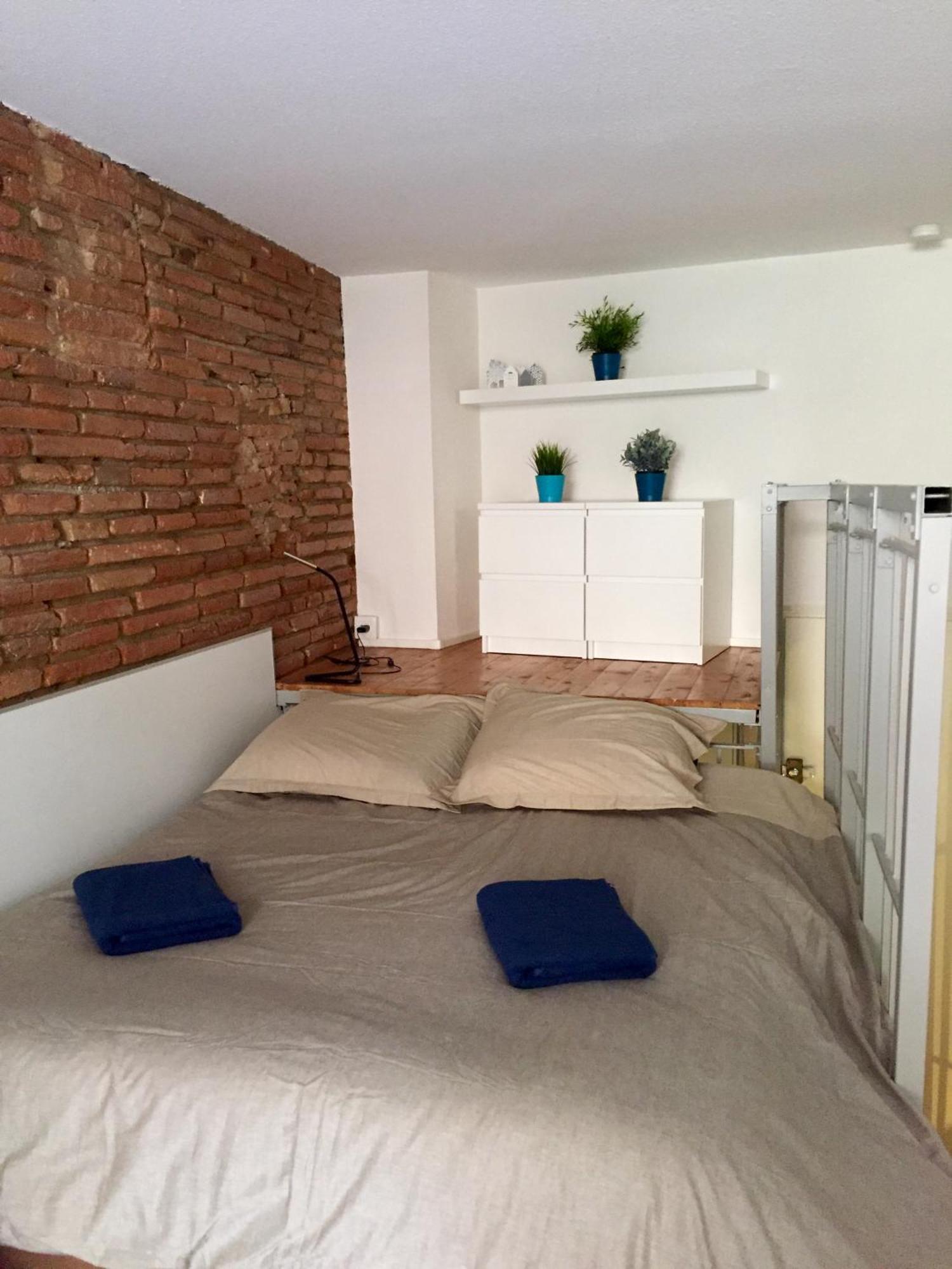 Le Petit Moulin, Duplex Hypercentre Toulouse Apartment ภายนอก รูปภาพ